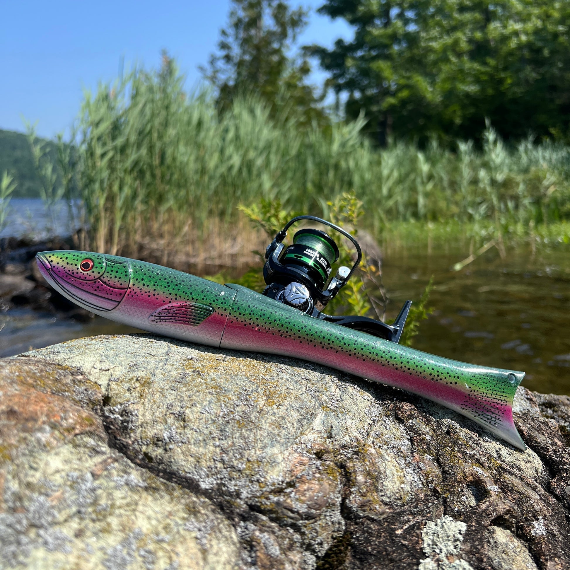 Light to medium-sized fishing Rod🐟️